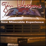 New Miserable Experience by Gin Blossoms
